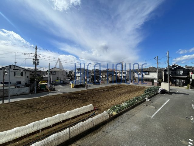 アメジストセージの展望