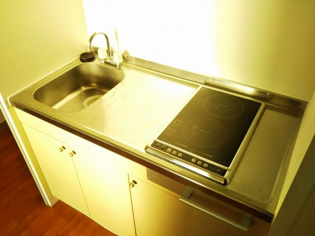 レオパレスYANAGIDAのキッチン|画像4