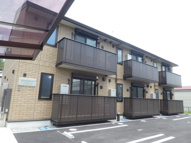 ルートサンヨウの画像