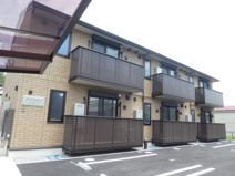 ルートサンヨウの画像