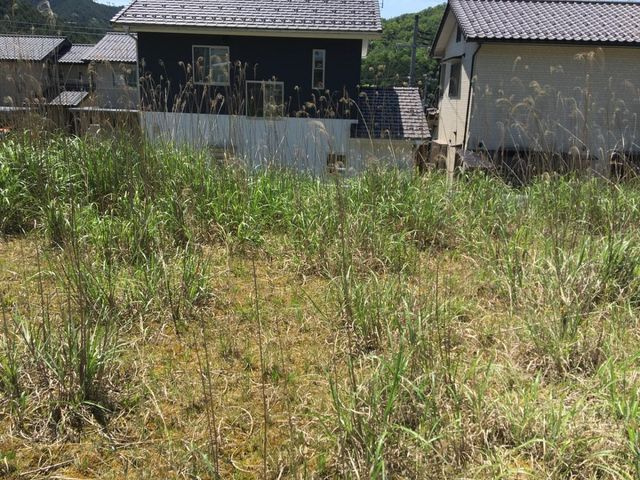 売土地 豊岡市法花寺　7区画　53.49坪の外観|敷地中央からみた景色