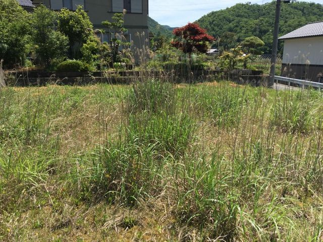 売土地 豊岡市法花寺　7区画　53.49坪の外観|敷地中央からみた景色