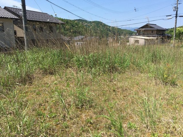 売土地 豊岡市法花寺　7区画　53.49坪の外観|敷地中央からみた景色