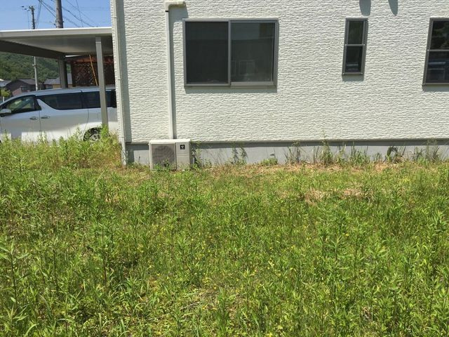 売土地 豊岡市法花寺　7区画　43坪の外観|敷地中央からみた景色