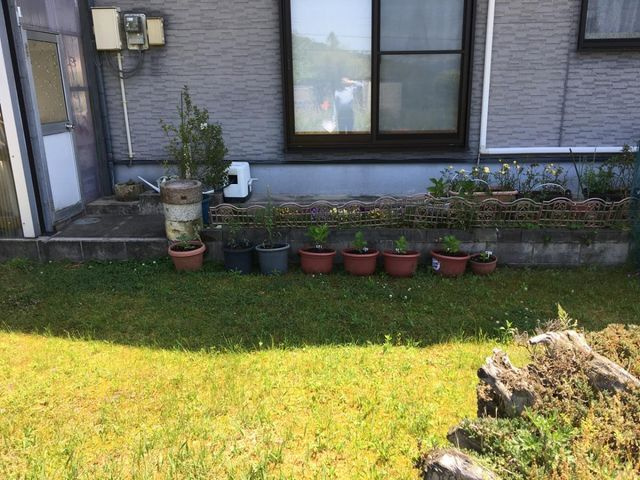 売土地 豊岡市法花寺　7区画　47坪の外観|敷地中央からの景色