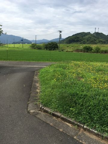 売土地 出石町宮内　６区画　45坪の外観|前面道路含む現地写真