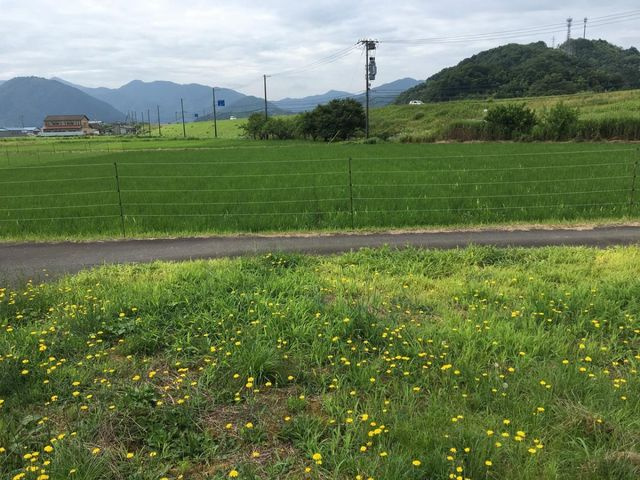 売土地 出石町宮内　６区画　45坪の外観|外観写真