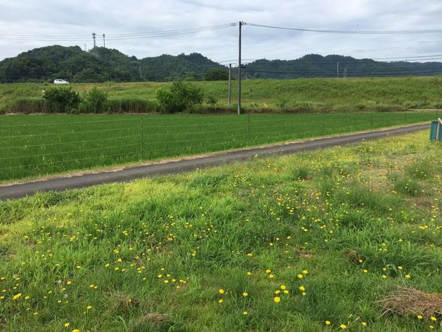 売土地 出石町宮内　６区画　45坪の外観|外観写真