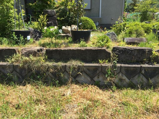 売土地 豊岡市法花寺　7区画　53.49坪の外観|敷地中央からみた景色