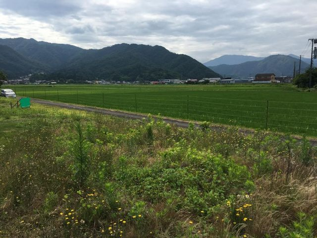 売土地 出石町宮内　６区画　44.69坪の外観|外観写真