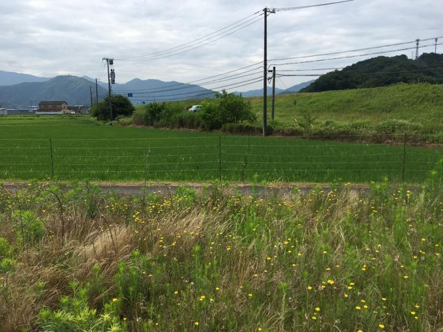 売土地 出石町宮内　６区画　44.69坪の外観|外観写真