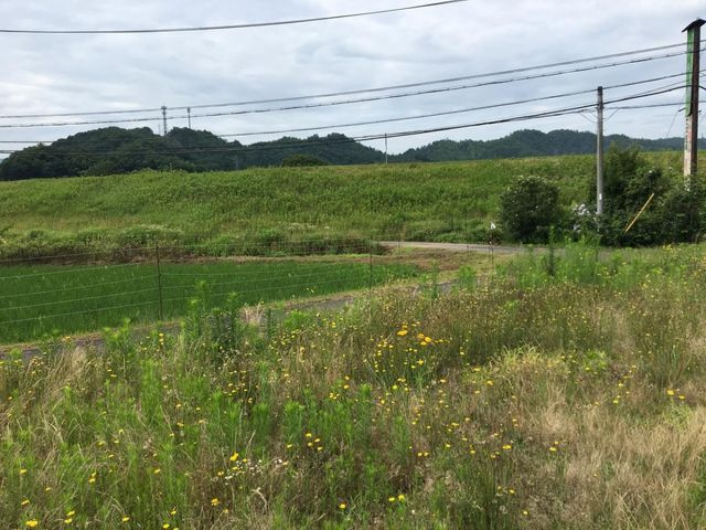 売土地 出石町宮内　６区画　44.69坪の外観|外観写真