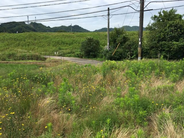 売土地 出石町宮内　６区画　55坪の外観|外観写真