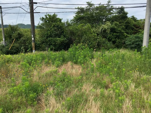 売土地 出石町宮内　６区画　55坪の外観|外観写真