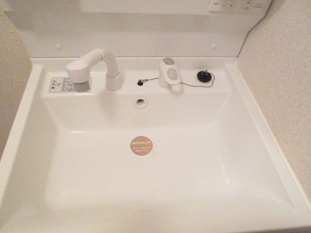 ローズコート美園の独立洗面台