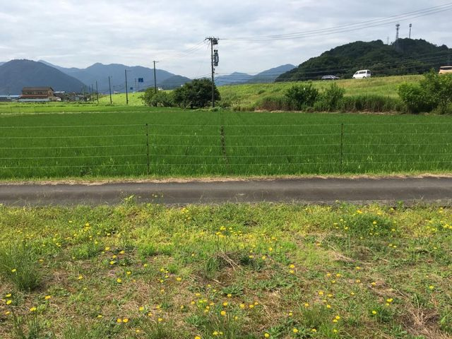 売土地 出石町宮内　６区画　44.69坪の外観|外観写真