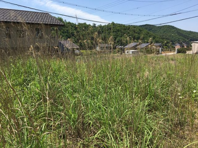 売土地 豊岡市法花寺　7区画　53.49坪の外観|敷地中央からみた景色