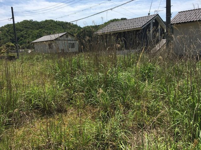 売土地 豊岡市法花寺　7区画　53.49坪の外観|敷地中央からみた景色