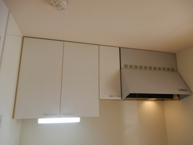 アーマビリータⅡのその他