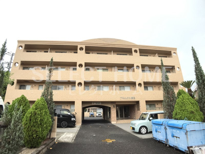  | アネックス橋目