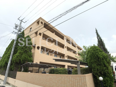  | アネックス橋目