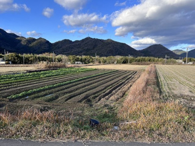 【外観】 | 西脇市黒田庄町黒田　農地
