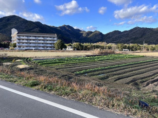 【外観】 | 西脇市黒田庄町黒田　農地