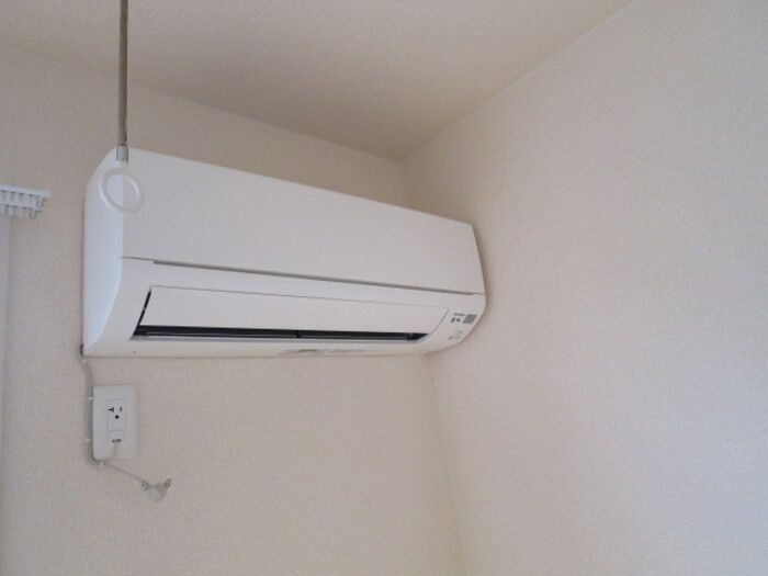 セレジェイラのその他