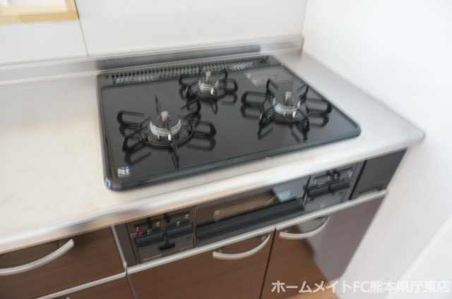 熊本市南区田井島２丁目の賃貸マンションのキッチン