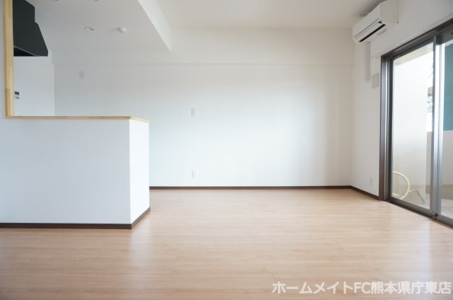 熊本市南区田井島２丁目の賃貸マンションの内装