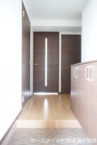 熊本市南区田井島２丁目の賃貸マンションの玄関