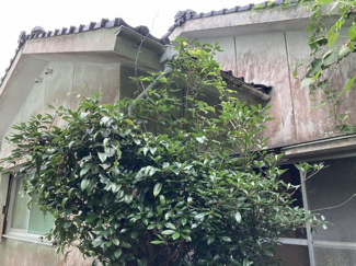 【外観】 | 中郷町久留主　土地