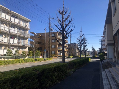 【周辺】 | グリナージュ