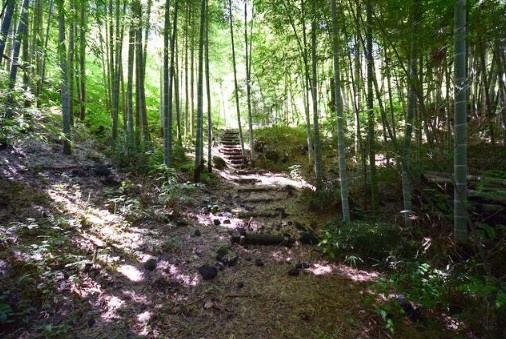 【庭】 | 伊東市富戸　売保養所