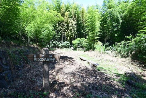 【庭】 | 伊東市富戸　売保養所