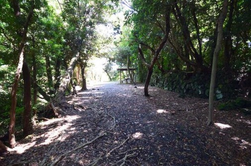 【周辺】 | 伊東市富戸　売保養所