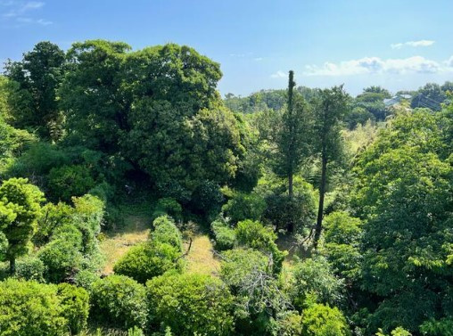 【展望】 | 伊東市富戸　売保養所