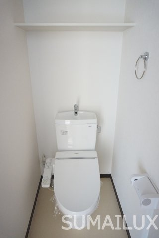 熊本市南区田井島２丁目の賃貸マンションのトイレ