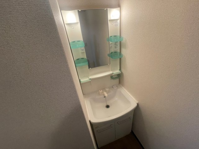 スロープイースタン大内の洗面所