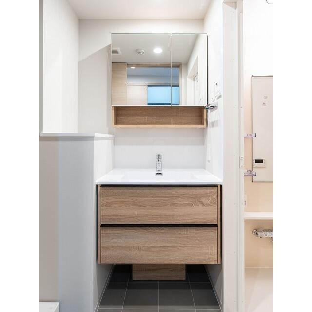 デュオフラッツ篠崎の洗面所