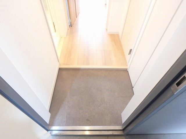 熊本市中央区神水１丁目の賃貸マンションの玄関