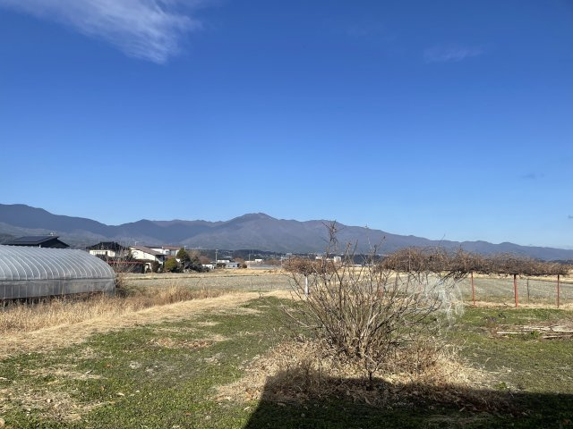 東春近　中古住宅の庭