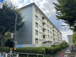 柏町住宅7号棟の画像