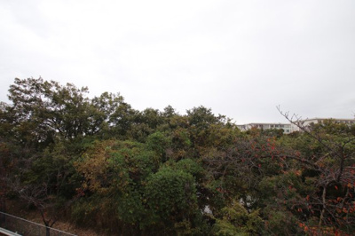 【展望】 | ラビ・クレール