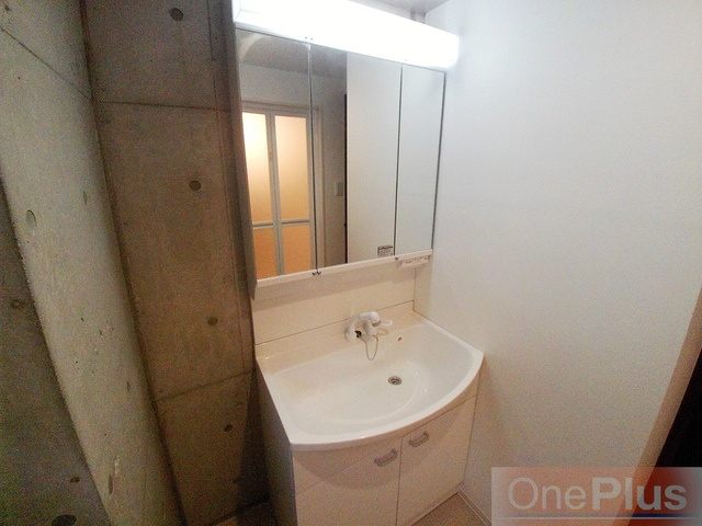 エカルラート青谷の洗面所