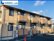 スタークレストの画像