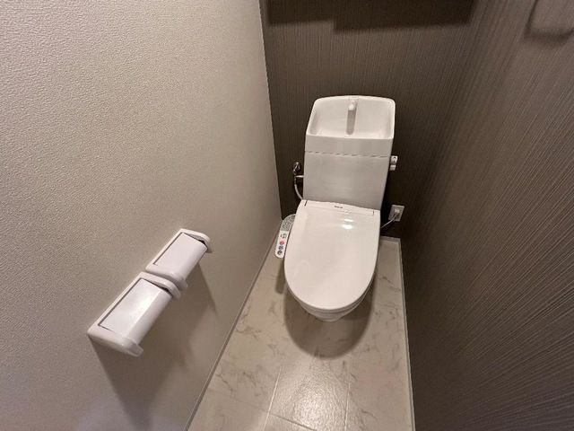 シトロン　セードル　　刈谷市近郊の賃貸ならクラスホーム刈谷店のトイレ