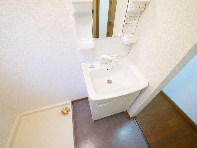 グリーンコーポＵの洗面所