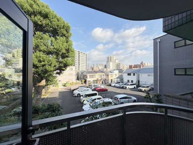 カンファーコートの展望