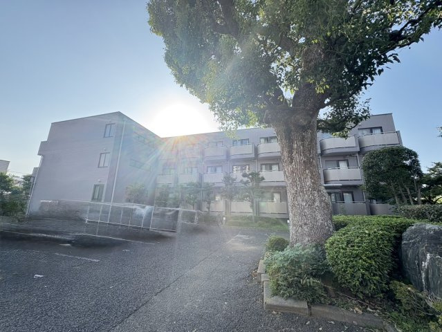 カンファーコートのその他